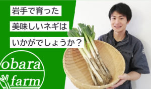 ねぎはいかがですか？