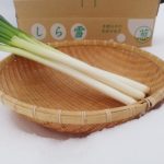 しら雪　特選　Mサイズ２