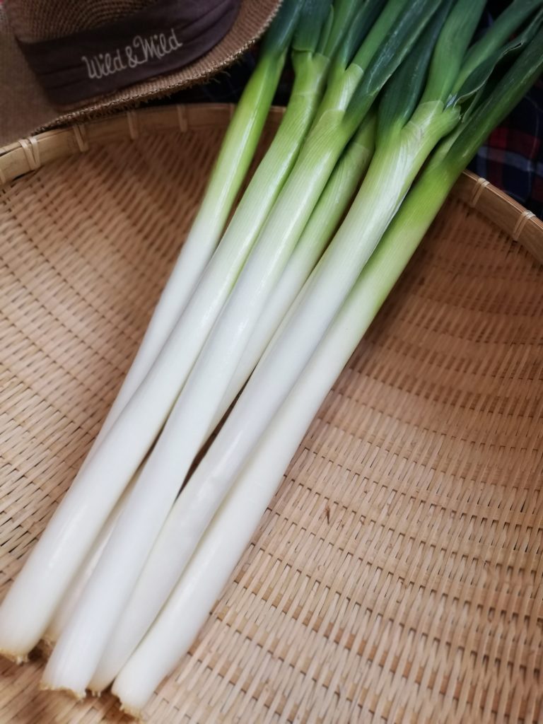 皮をむいた綺麗なネギ